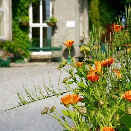 Glendine Arthurstown
