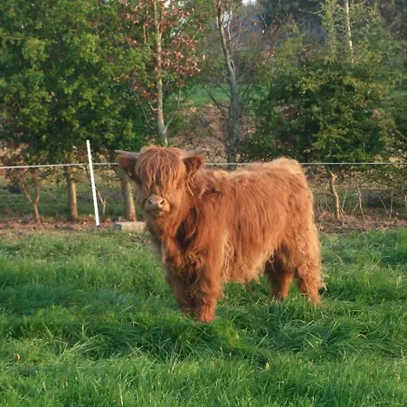 Glendine Arthurstown